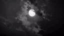 ᥫ．Moon﹒ෆ light heaven | Hangout • Chill • Active Chats • Voice Lounge Banner