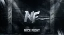 Server details Nice Fight