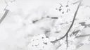 𝘚𝘩𝘪𝘧𝘵⋆⁺₊❅. server banner