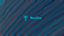 Voxalike Banner