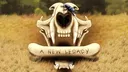 Warrior Cats: A New Legacy Discord server banner