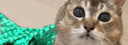 User Banner