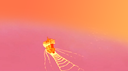 ☀ Sunny Banner