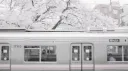 dti ฮฑsฮฑne .๏น ึน ๏น server banner