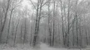 /colder Discord server banner