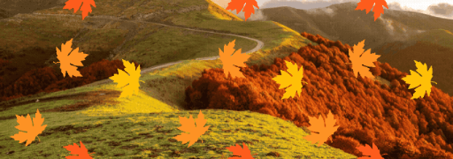 User Banner