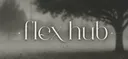 flex hub server banner