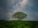 ӨFF GЯID ¹⁹⁺ banner