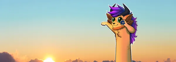 banner