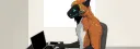 banner