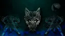 Furia Gaming Community banner