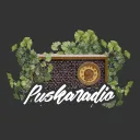 Puskaradio banner