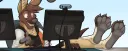 banner