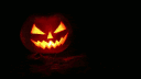 Booting 👻 banner
