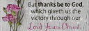 banner