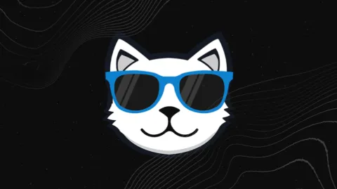 CoolCats banner