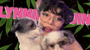 【ＱＵＩＮ－ＵＮＩＴＹ】 banner