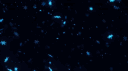 Snowstorm Gamers banner