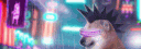 banner