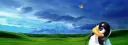 banner