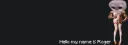 banner