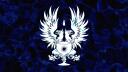 The Grey Wardens Banner