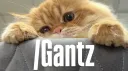 MshMsh Discord server banner
