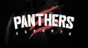 PANTHERS COMMUNITY banner