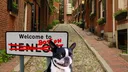 RarePuppers banner