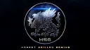 Honest Skilled Gaming banner