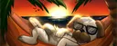 banner