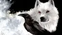 Commonwealth of Ravens and Wolves (CRAW) banner