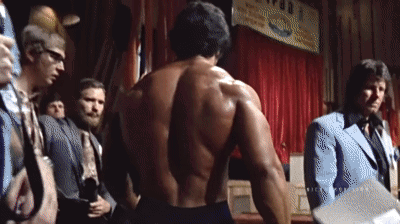 Bodybuilding, Powerlifting & Fitness Discord by Dr. Amir Discord server banner