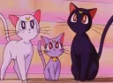 εїз cake sailors banner