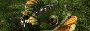 banner