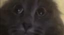 IDDQD's Discord banner