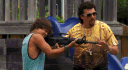 banner