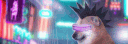 banner