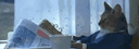 banner