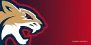 UArizona Wildcat Gaming Club banner