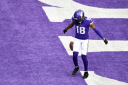 Minnesota Vikings server banner