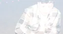 Renegade banner