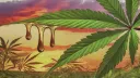 Cewpins Smoke Sesh banner