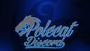 Polecat324 Gaming Banner
