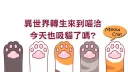 喵洽 Meow_Chat banner