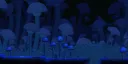 Shroominati IN SPACE banner