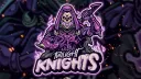 Twilight Knights banner