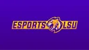 Esports LSU banner