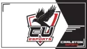 CU Esports banner