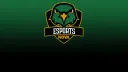 NOVA Nighthawks Esports banner